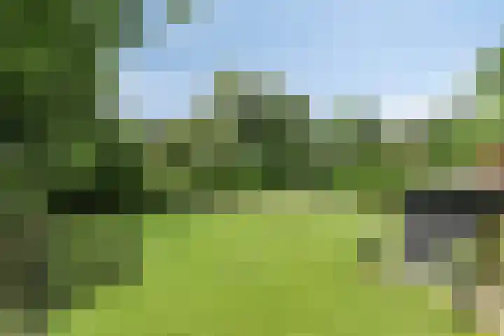 Bosweg 6 a Sellingen thumbnail 32