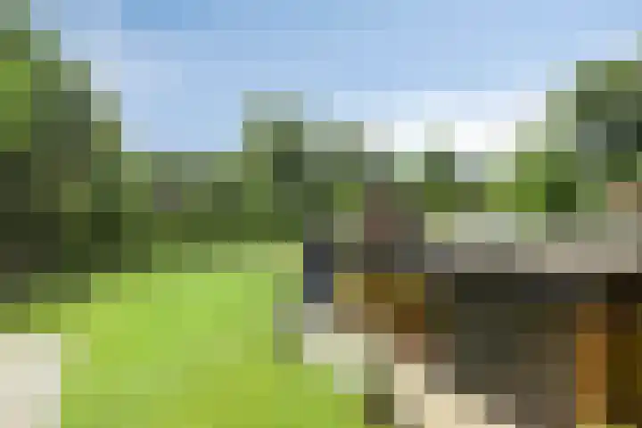 Bosweg 6 a Sellingen thumbnail 33