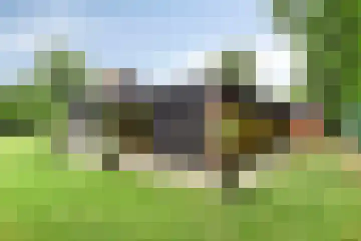 Bosweg 6 a Sellingen thumbnail 34