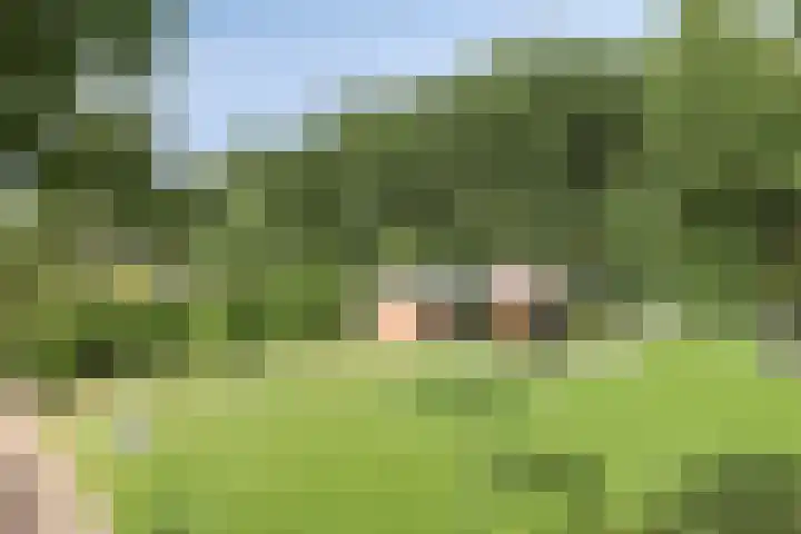 Bosweg 6 a Sellingen thumbnail 35