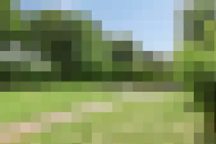 Bosweg 6 a Sellingen thumbnail 36