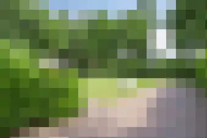 Bosweg 6 a Sellingen thumbnail 37