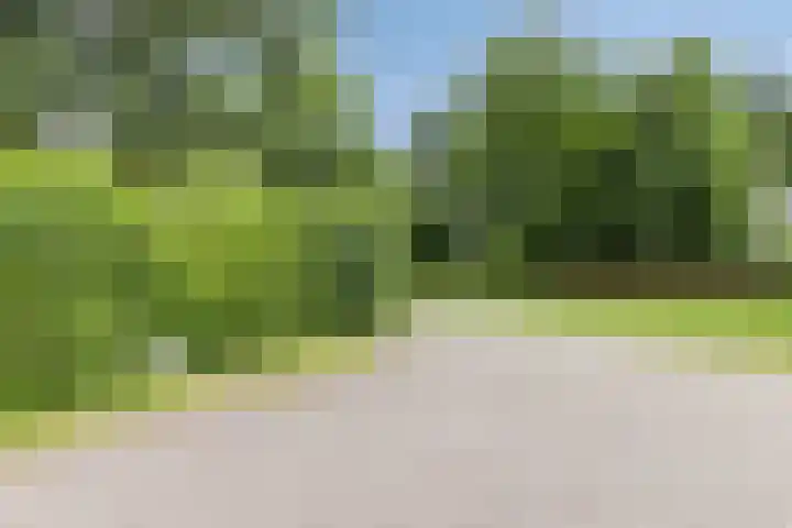 Bosweg 6 a Sellingen thumbnail 38