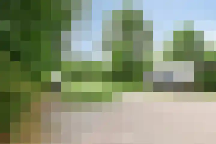 Bosweg 6 a Sellingen thumbnail 39