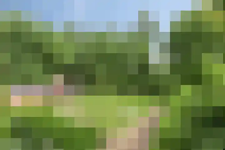 Bosweg 6 a Sellingen thumbnail 4