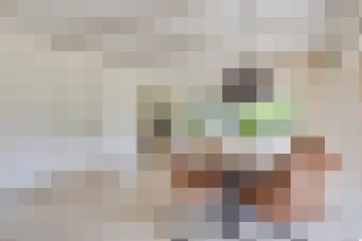Bosweg 6 a Sellingen thumbnail 8