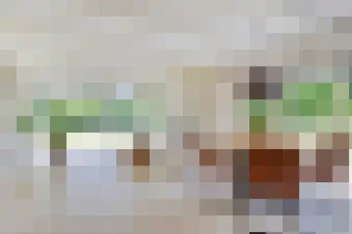 Bosweg 6 a Sellingen thumbnail 9