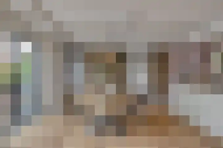Bosweg 6 d Sellingen thumbnail 10