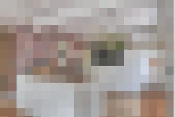 Bosweg 6 d Sellingen thumbnail 12