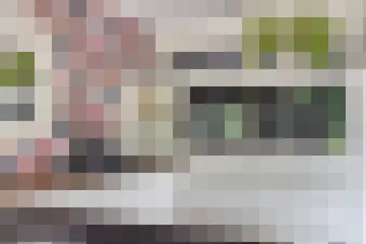 Bosweg 6 d Sellingen thumbnail 15