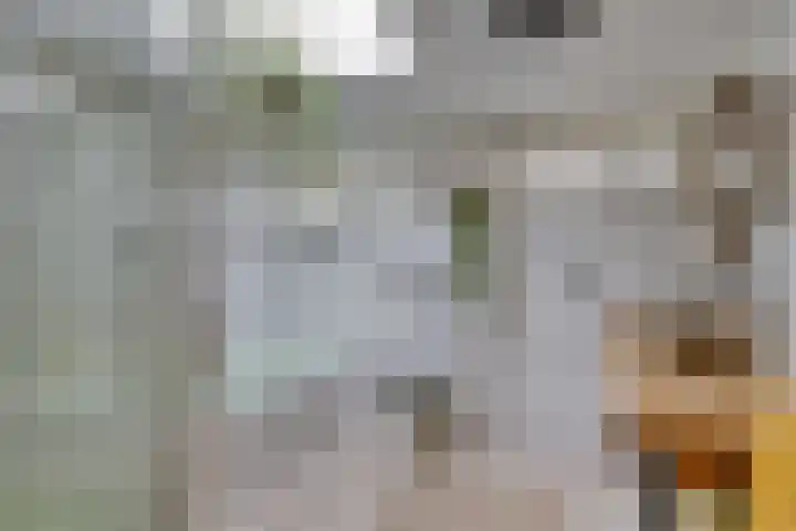Bosweg 6 d Sellingen thumbnail 20