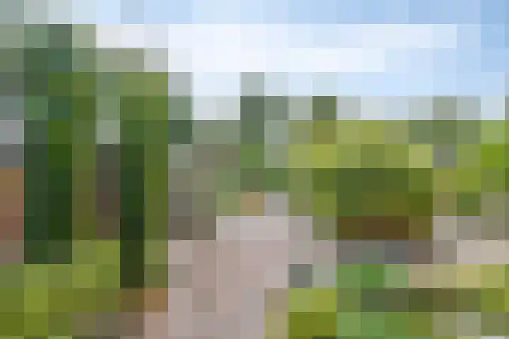Bosweg 6 d Sellingen thumbnail 26