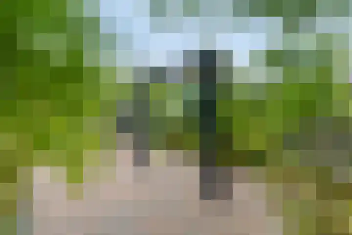 Bosweg 6 d Sellingen thumbnail 27