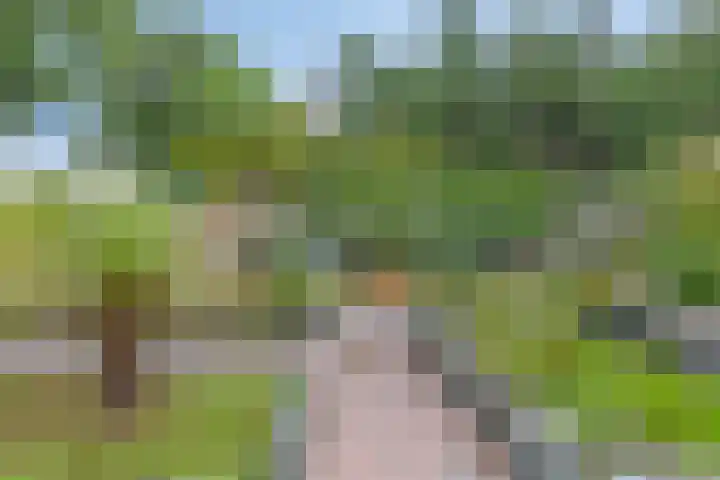 Bosweg 6 d Sellingen thumbnail 28