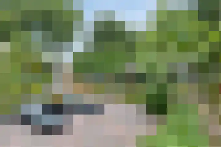 Bosweg 6 d Sellingen thumbnail 30