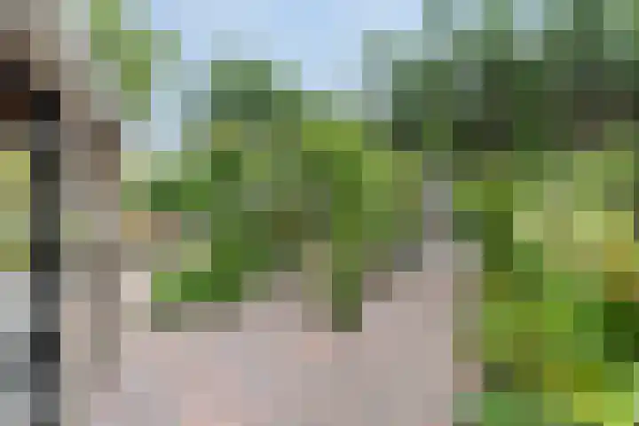 Bosweg 6 d Sellingen thumbnail 31