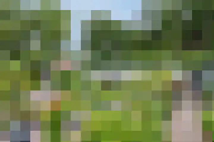 Bosweg 6 d Sellingen thumbnail 32