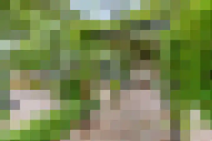 Bosweg 6 d Sellingen thumbnail 33