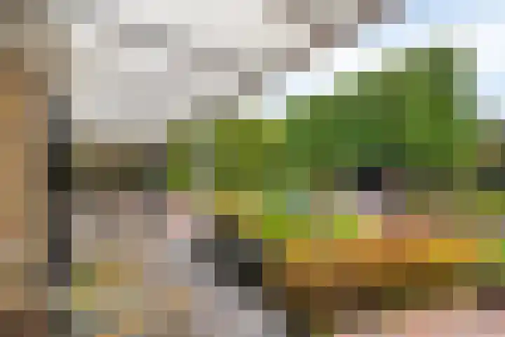 Bosweg 6 d Sellingen thumbnail 34