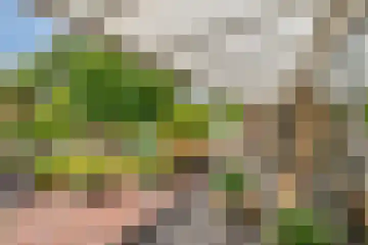 Bosweg 6 d Sellingen thumbnail 35