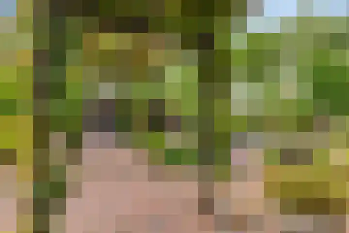 Bosweg 6 d Sellingen thumbnail 36
