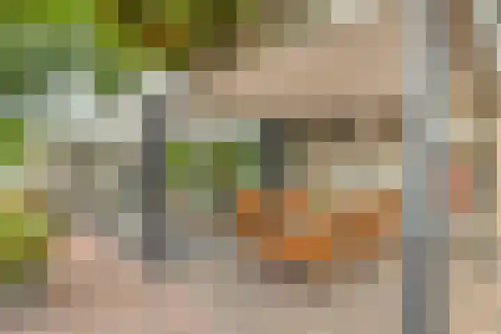 Bosweg 6 d Sellingen thumbnail 37