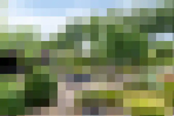 Bosweg 6 d Sellingen thumbnail 38