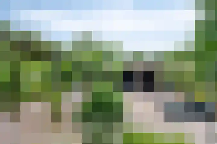 Bosweg 6 d Sellingen thumbnail 39
