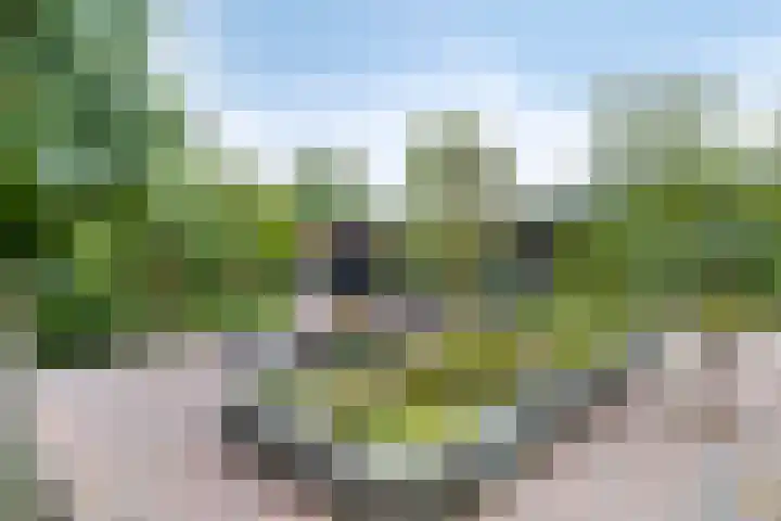 Bosweg 6 d Sellingen thumbnail 40