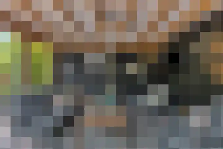 Bosweg 6 d Sellingen thumbnail 42