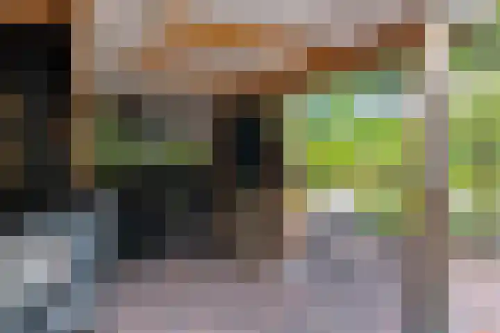 Bosweg 6 d Sellingen thumbnail 43
