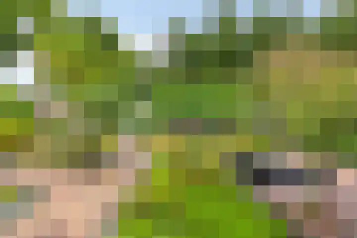 Bosweg 6 d Sellingen thumbnail 45