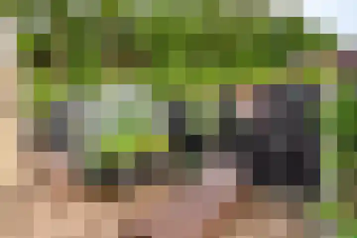 Bosweg 6 d Sellingen thumbnail 46
