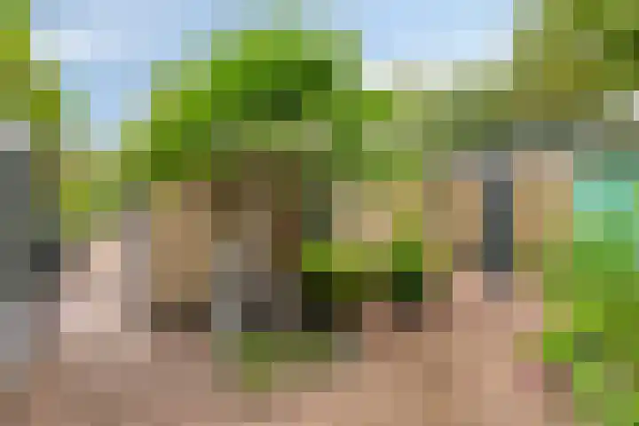 Bosweg 6 d Sellingen thumbnail 47