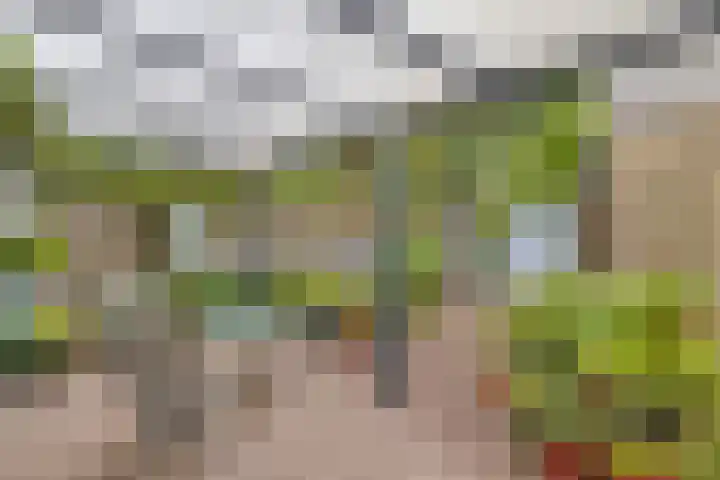 Bosweg 6 d Sellingen thumbnail 48