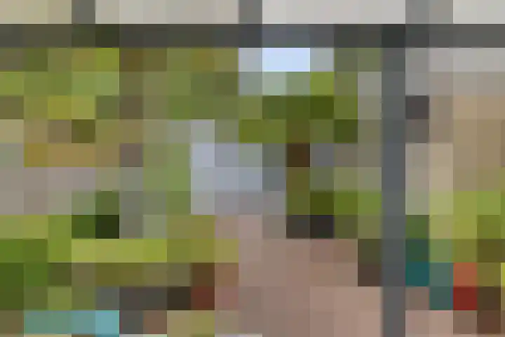 Bosweg 6 d Sellingen thumbnail 49