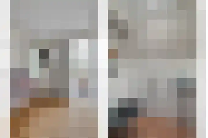 Bosweg 6 d Sellingen thumbnail 6