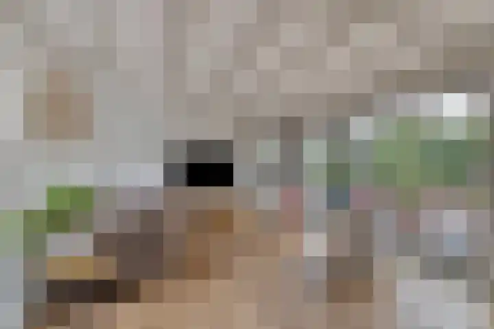 Bosweg 6 d Sellingen thumbnail 7