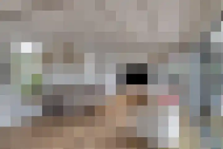 Bosweg 6 d Sellingen thumbnail 8