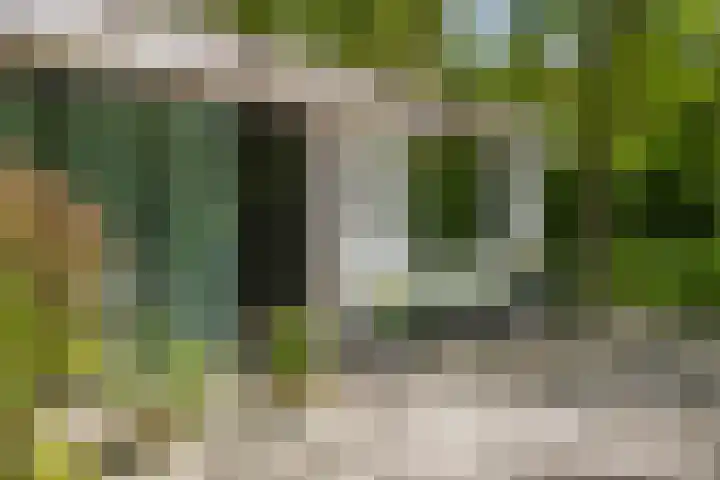 Bosweg 6 Epse thumbnail 12