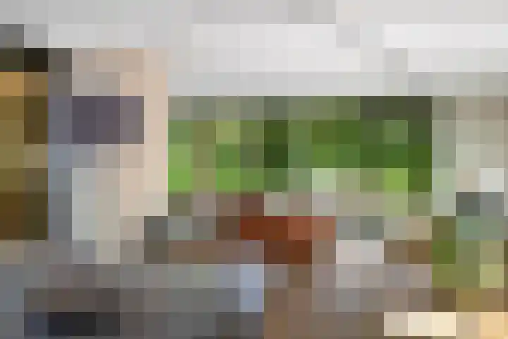 Bosweg 6 Epse thumbnail 14