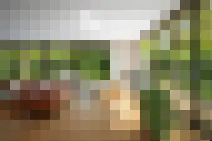 Bosweg 6 Epse thumbnail 18