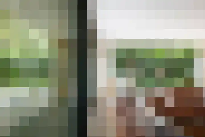 Bosweg 6 Epse thumbnail 19