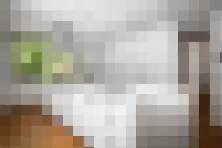 Bosweg 6 Epse thumbnail 28