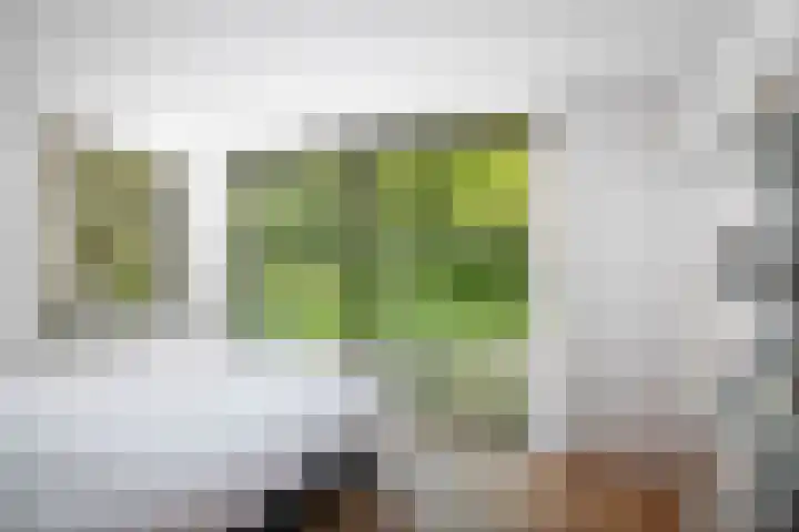 Bosweg 6 Epse thumbnail 45