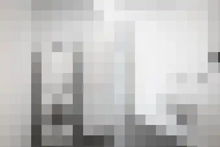 Bosweg 6 Epse thumbnail 52