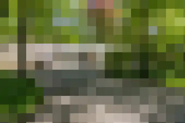 Bosweg 6 Epse thumbnail 55