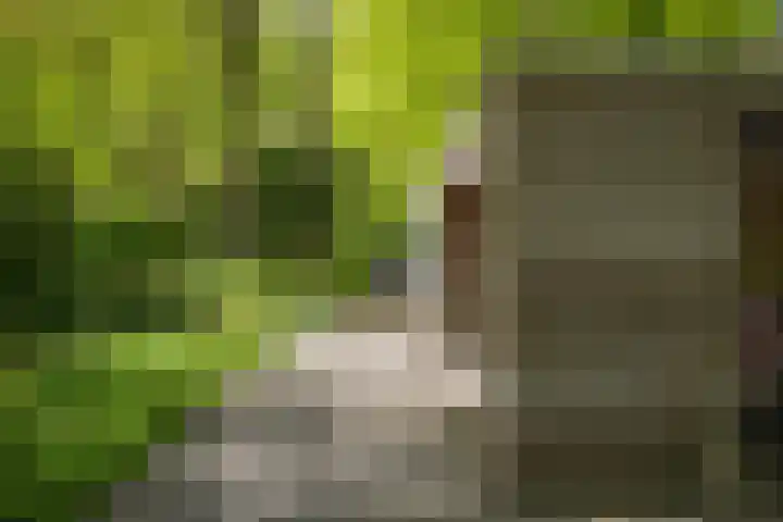 Bosweg 6 Epse thumbnail 57