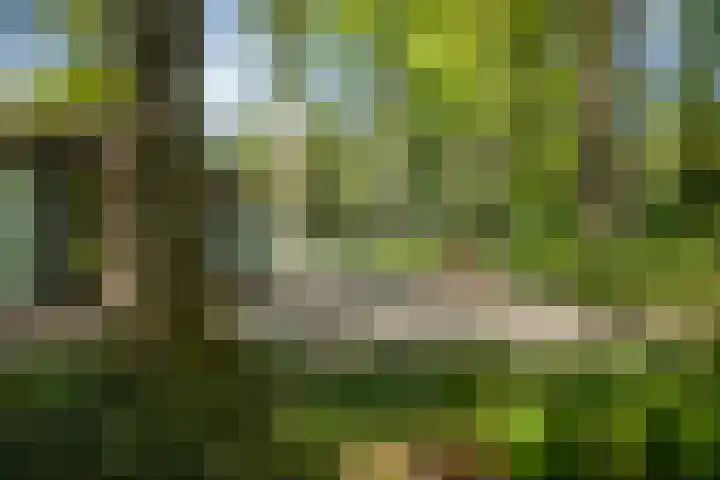 Bosweg 6 Epse thumbnail 59