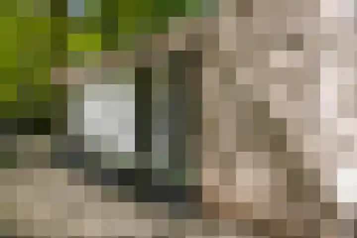 Bosweg 6 Epse thumbnail 61